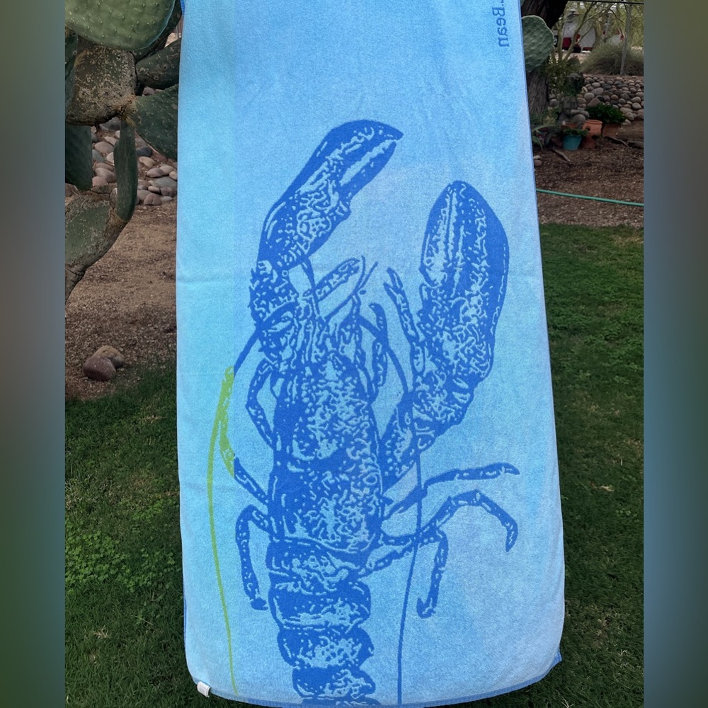 L.L. Bean Blue and Green Beach Towel - Picture 4 of 6